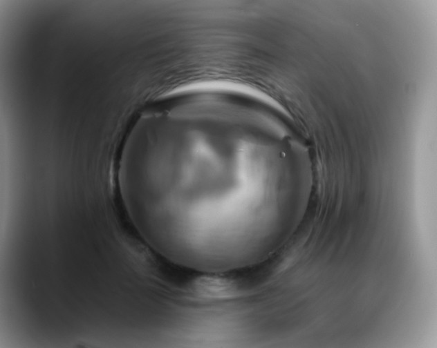 X0000088860699200706081153
