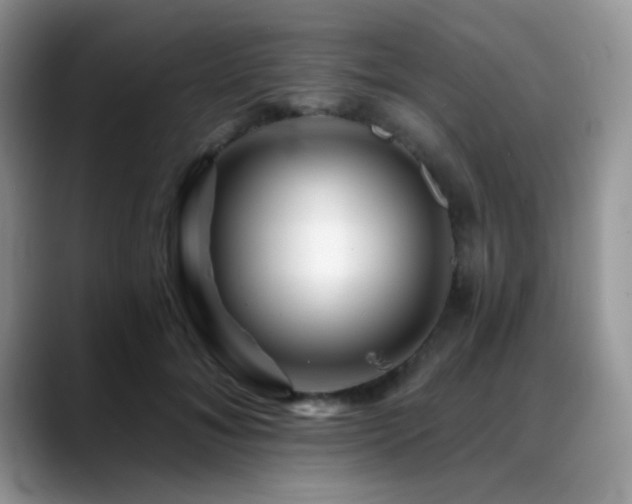 X0000088860700200706081153