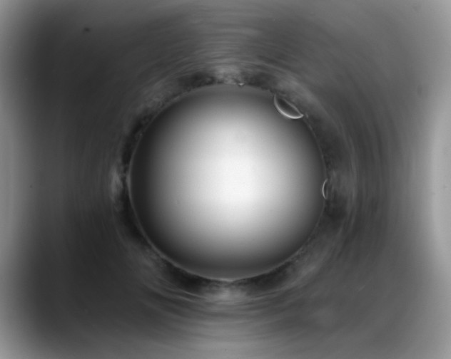 X0000088860702200706081153