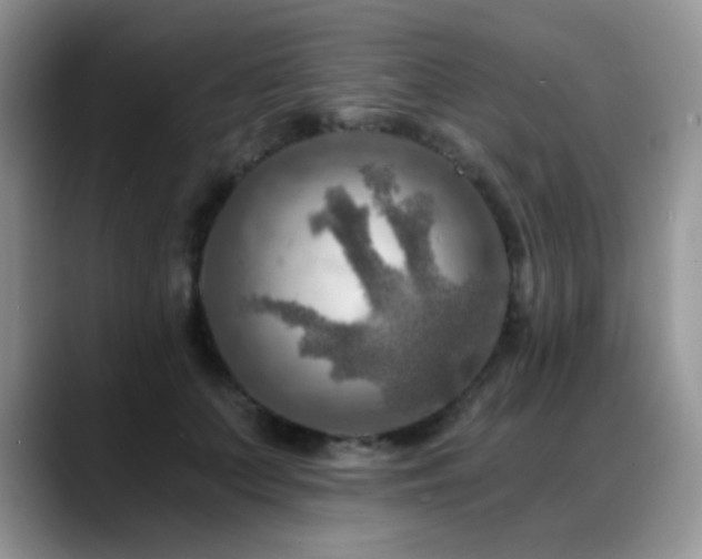X0000088860703200706081153