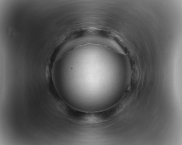 X0000088860704200706081153