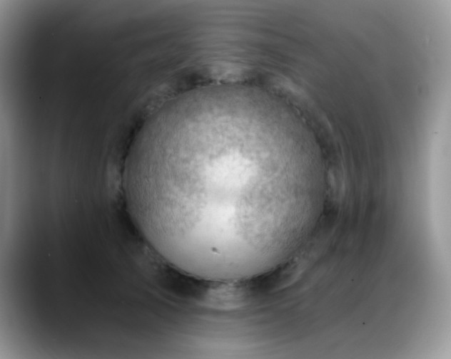 X0000088860705200706081153