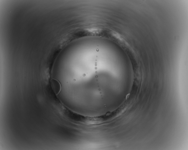X0000088860707200706081153