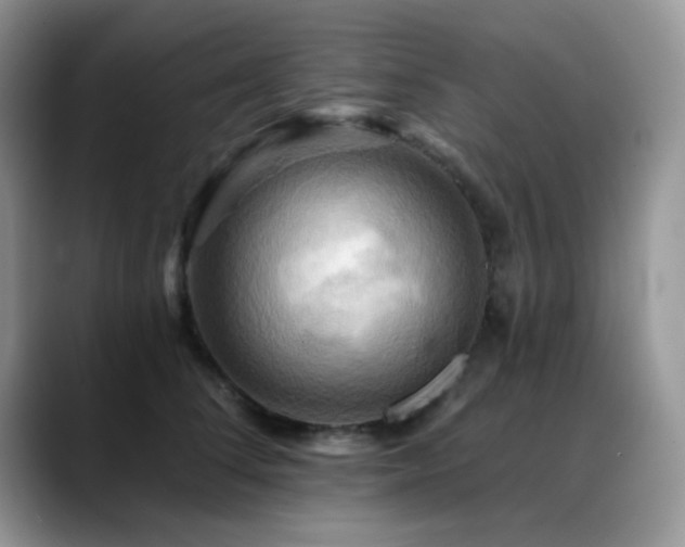 X0000088860708200706081153