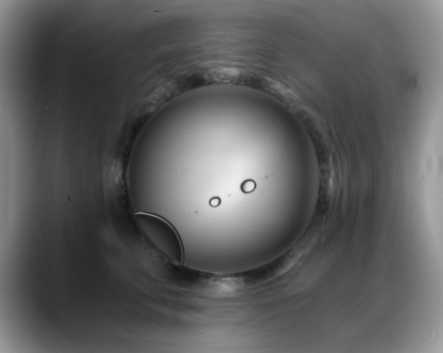 X0000088860711200706081153