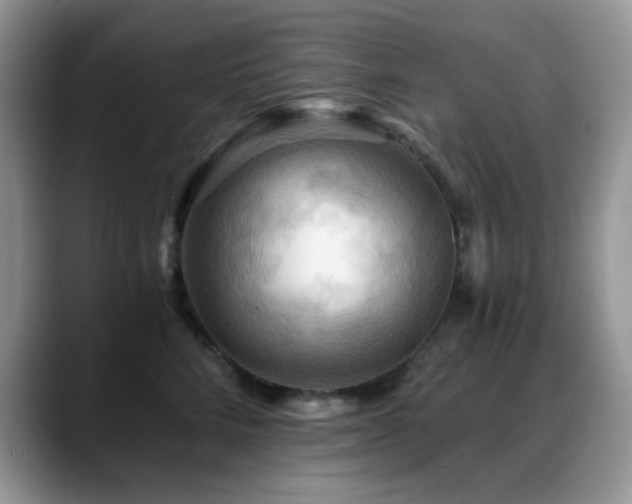X0000088860712200706081153
