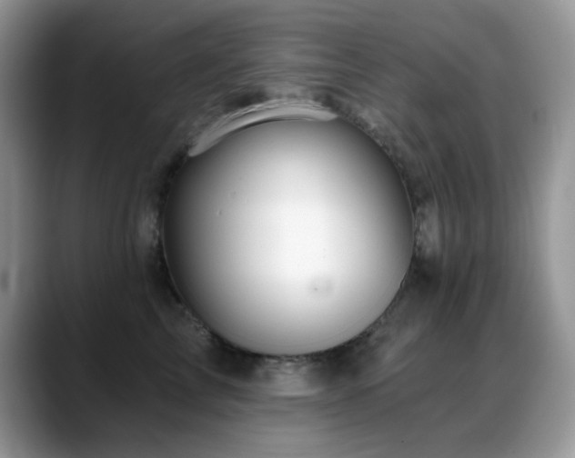 X0000088860713200706081153