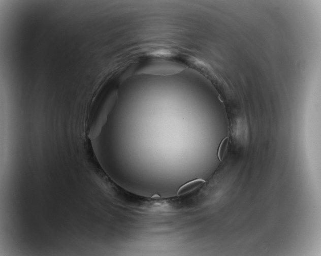 X0000088860715200706081153