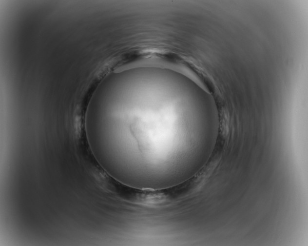 X0000088860716200706081153