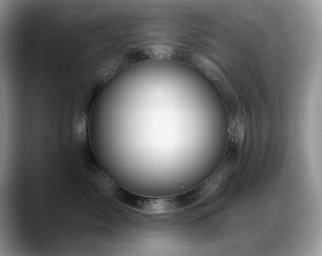 X0000088860717200706081153