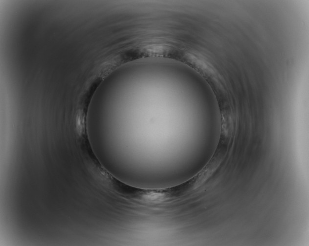 X0000088860718200706081153