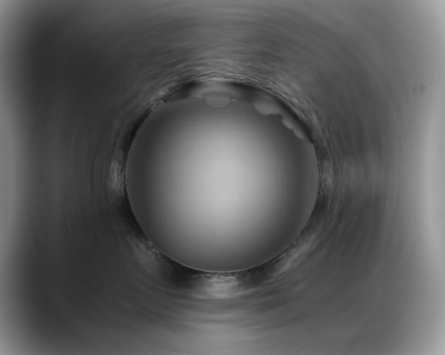 X0000088860719200706081153