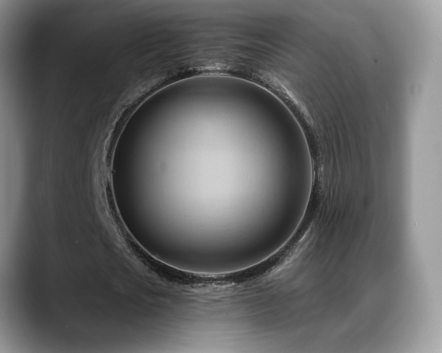 X0000088860721200706081152
