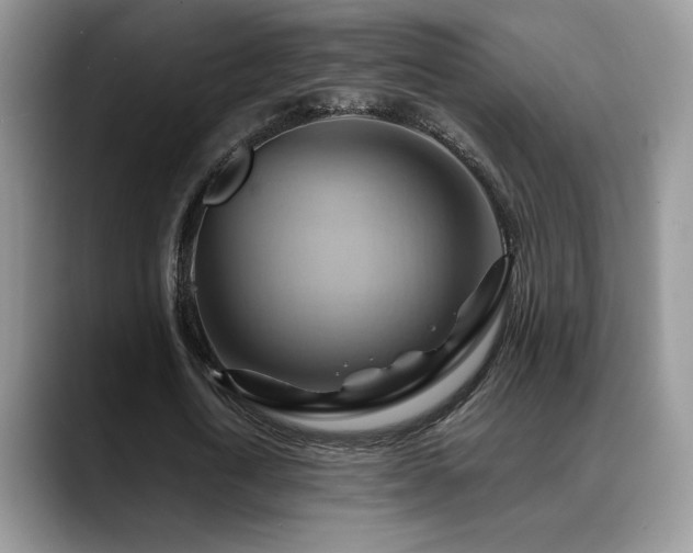 X0000088860722200706081152