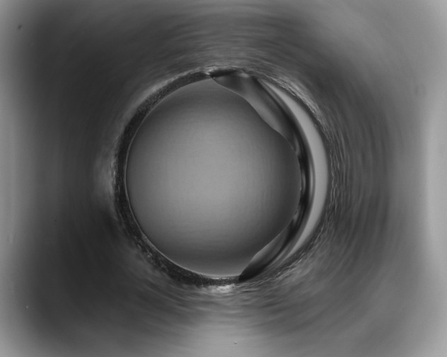 X0000088860724200706081152