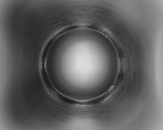 X0000088860726200706081152
