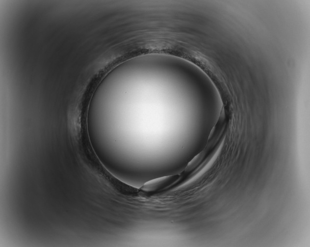 X0000088860727200706081152