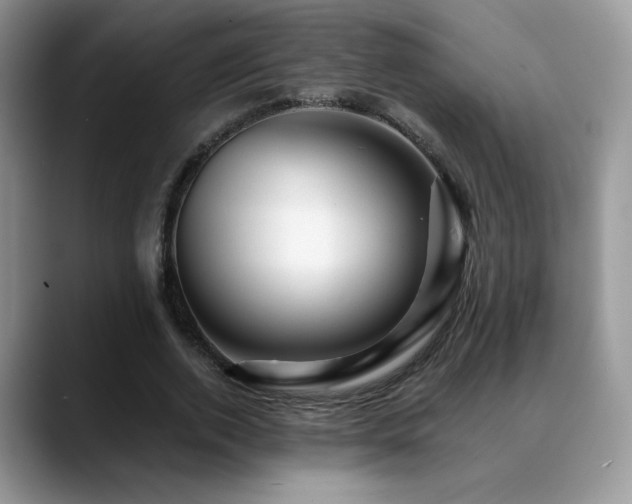 X0000088860728200706081152