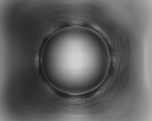 X0000088860729200706081152