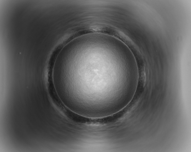 X0000088860730200706081152