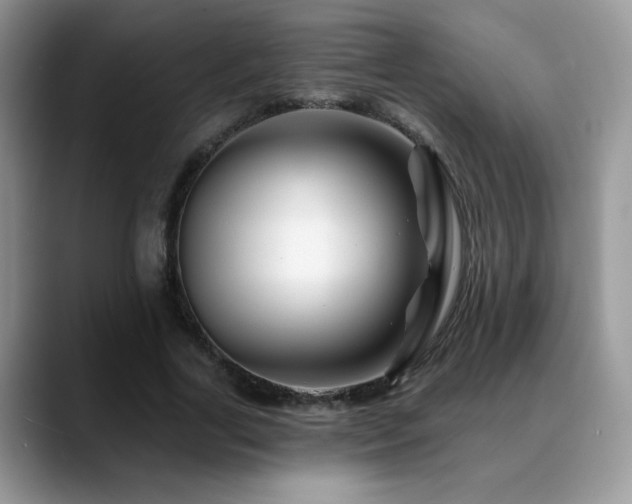 X0000088860731200706081152
