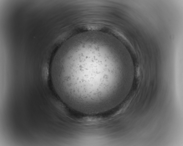 X0000088860733200706081152