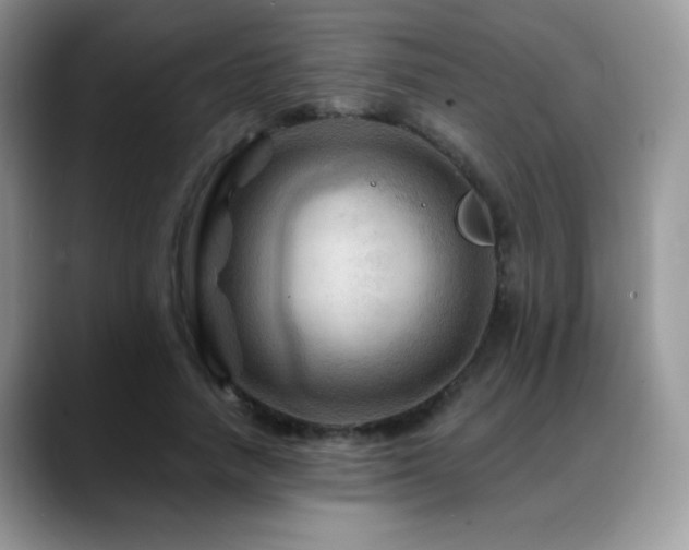 X0000088860738200706081152