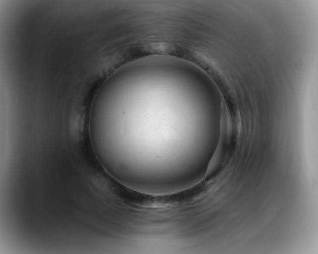 X0000088860739200706081152