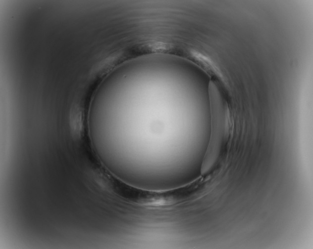 X0000088860740200706081152
