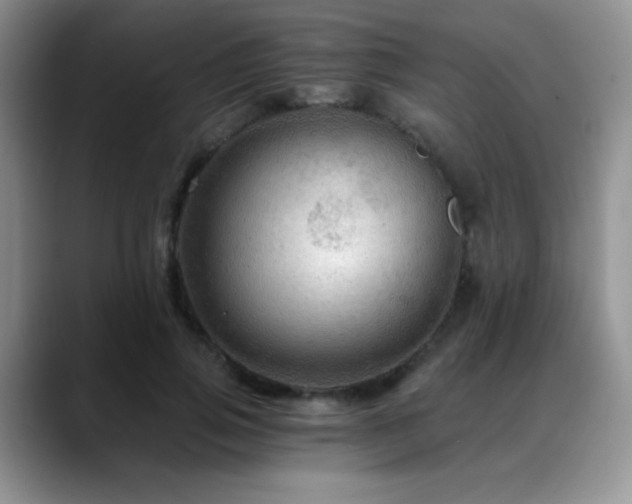X0000088860741200706081152