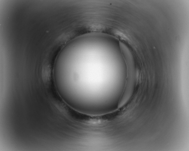 X0000088860744200706081152