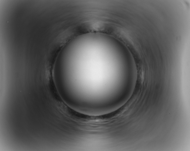 X0000088860746200706081152