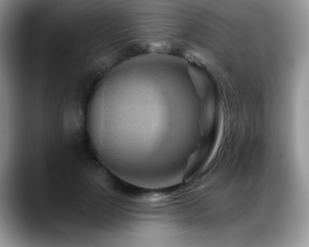X0000088860748200706081152