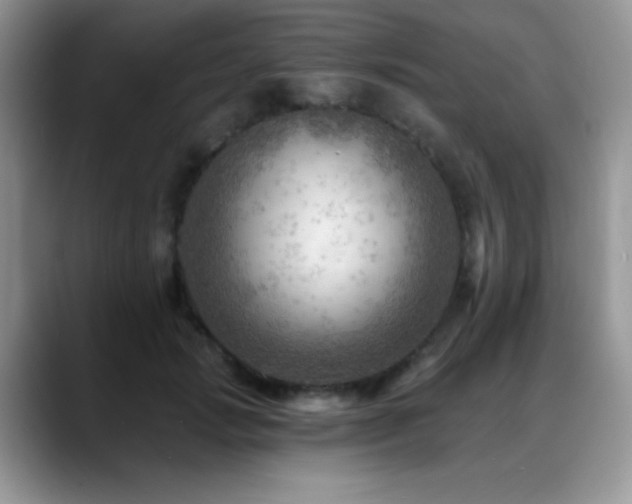 X0000088860749200706081152