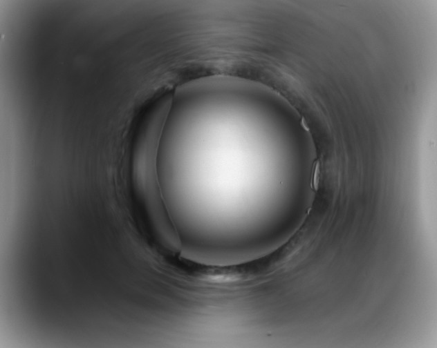 X0000088860750200706081152