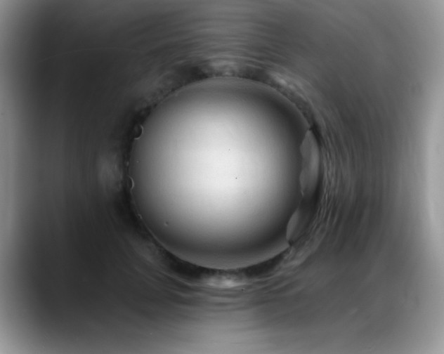 X0000088860751200706081152