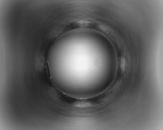 X0000088860752200706081152