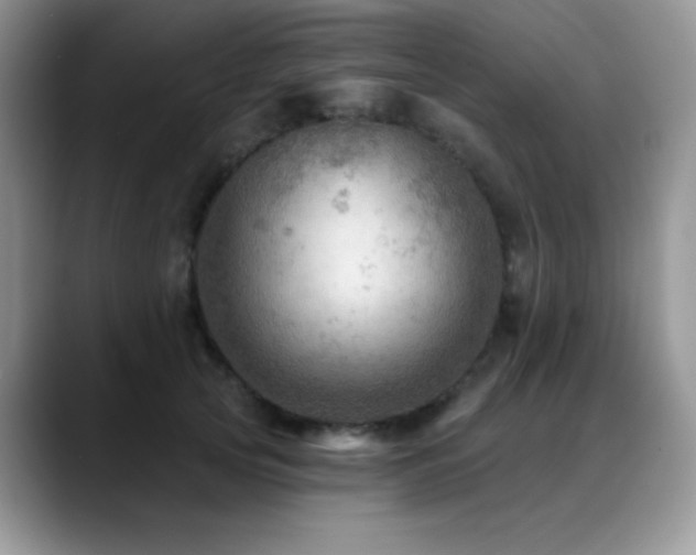 X0000088860753200706081152