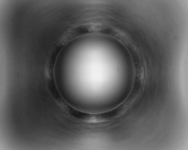 X0000088860755200706081152