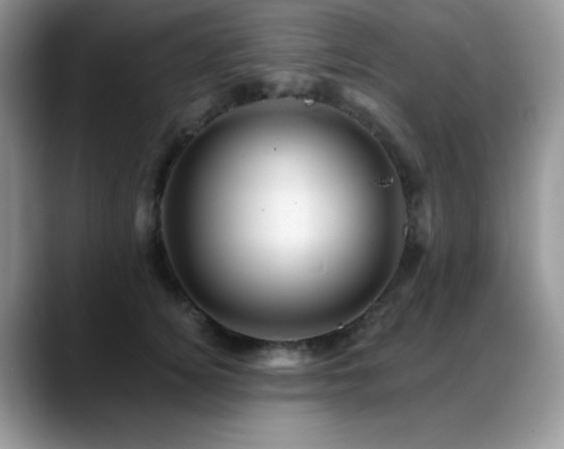 X0000088860756200706081152