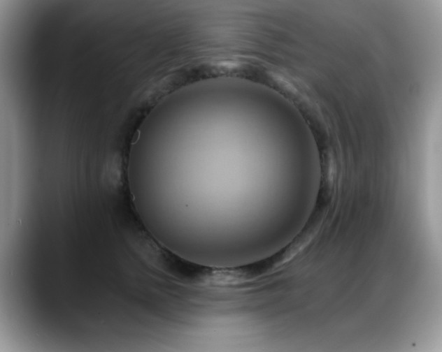 X0000088860758200706081152