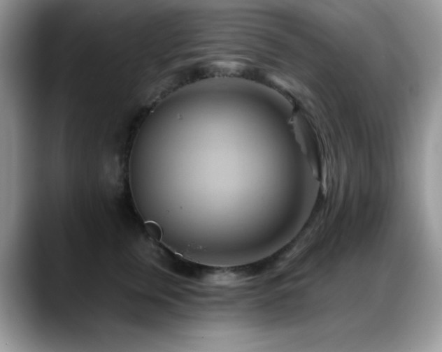 X0000088860759200706081152