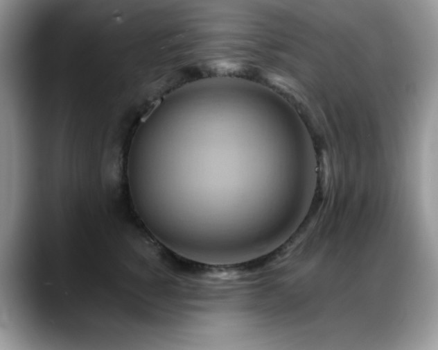 X0000088860760200706081153