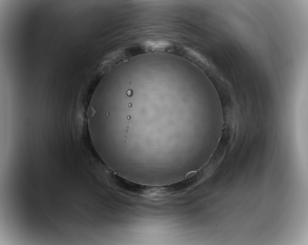 X0000088860761200706081153