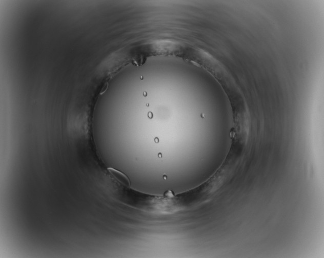 X0000088860762200706081153