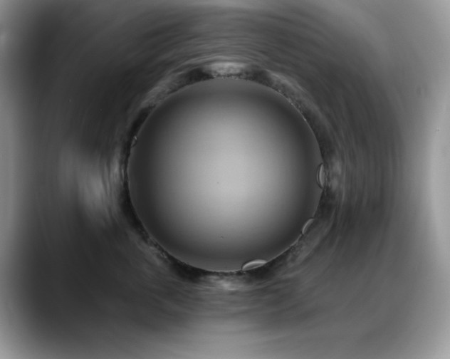 X0000088860763200706081153