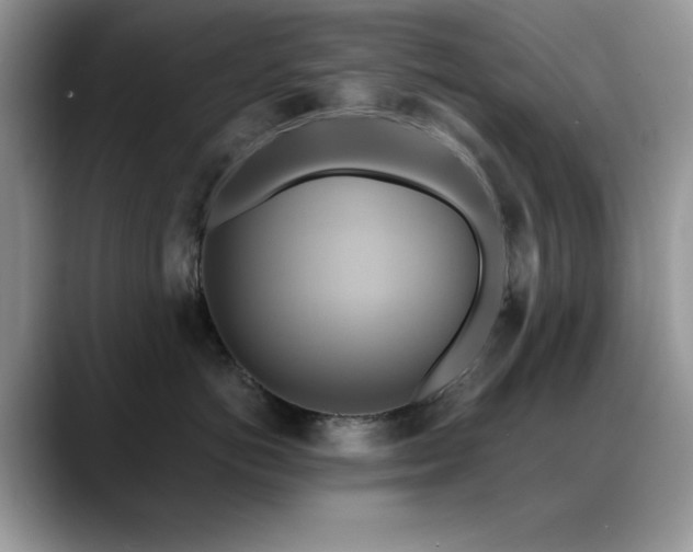 X0000088860766200706081153