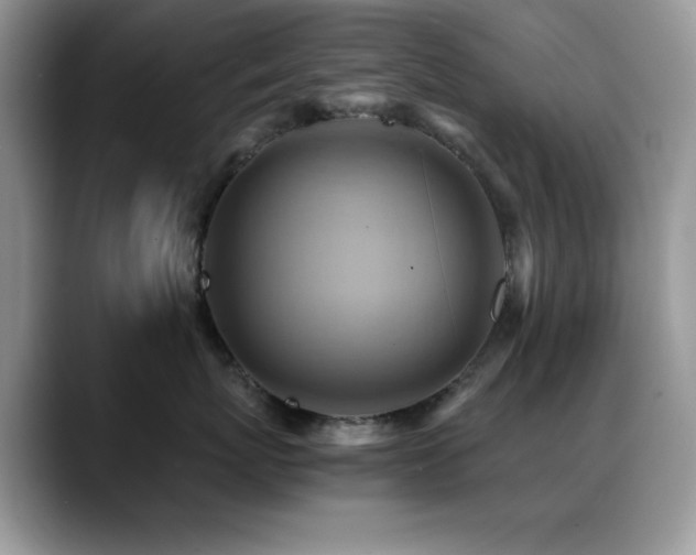 X0000088860767200706081153