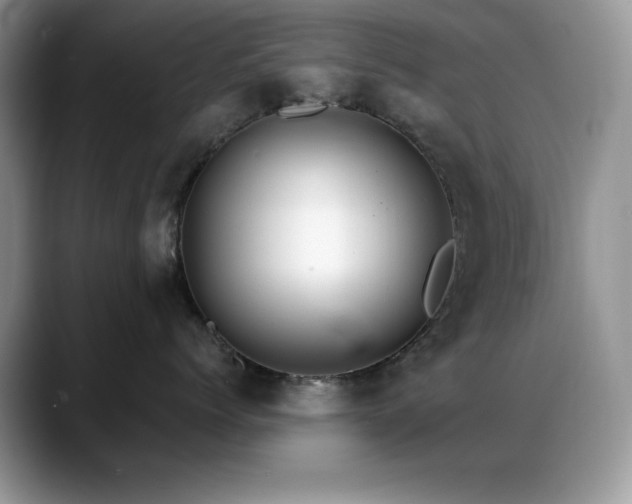 X0000088860768200706081153