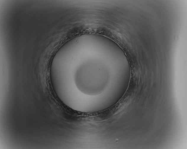 X0000088860769200706081152